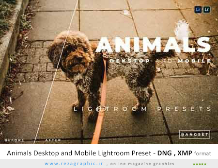 مجموعه پریست لایت روم حیوانات - Animals Desktop and Mobile Lightroom Preset 